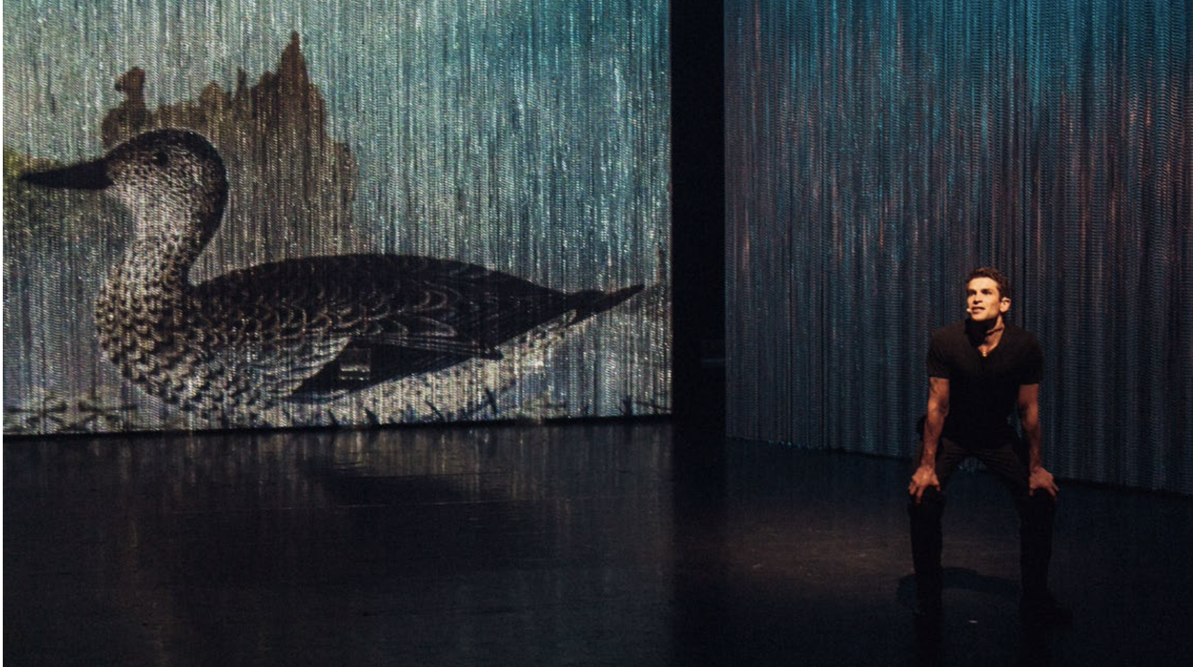 Le vilain petit canard par Etienne Daho, Raphaelle Delaunay, Sandra Gaudin, Arnaud Valois