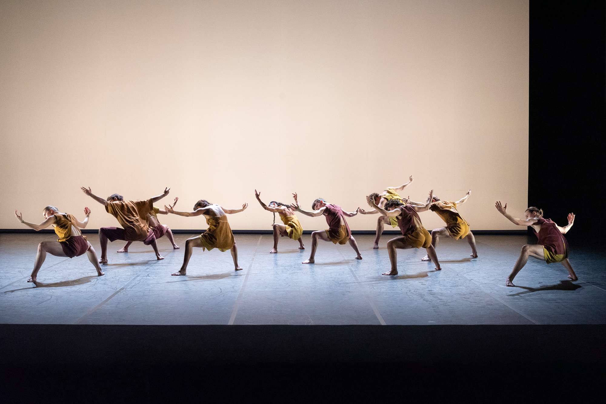 Danse dans les Nymphéas : Entropie de Léo Lérus (extraits)