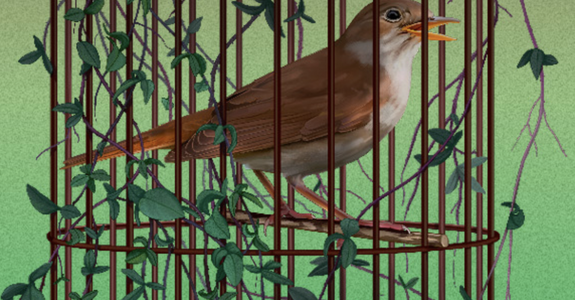 Lucie de Lammermoor – Gaetano Donizetti, nouvelle production