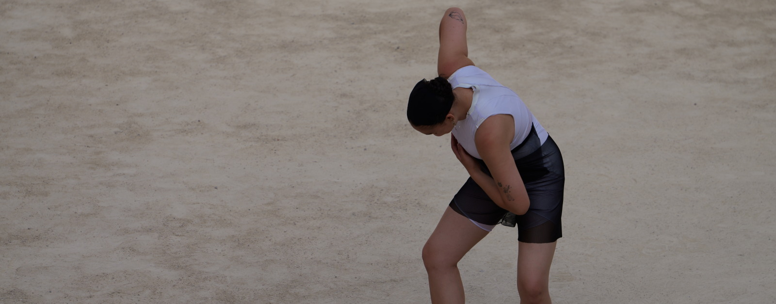 Danse dans les Nymphéas : Armin Hokmi, Of the Heart – An etude