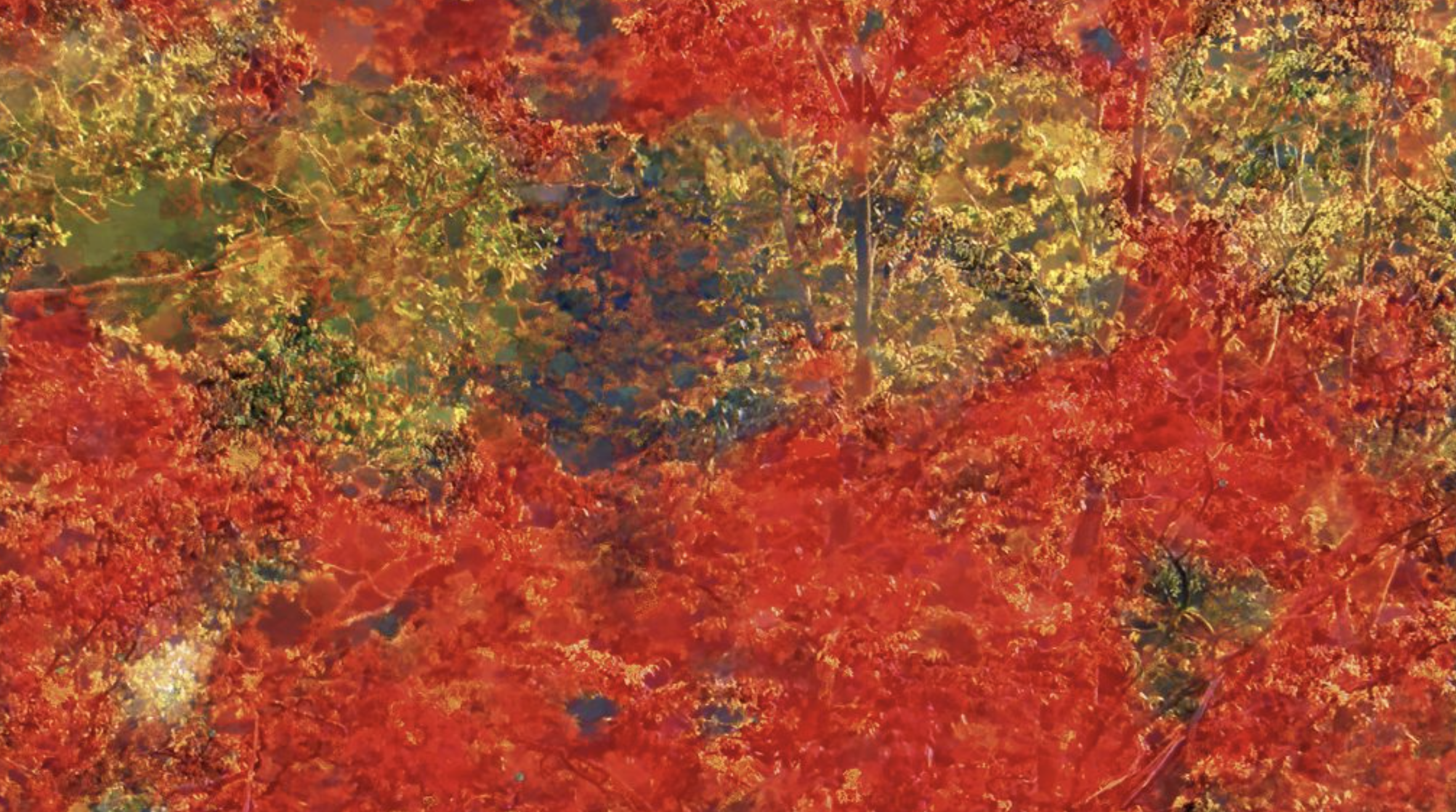 Troussova – Ensemble Intercontemporain